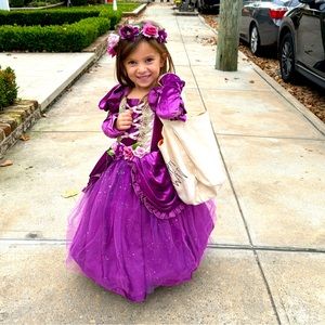 Toddler Princess Costume